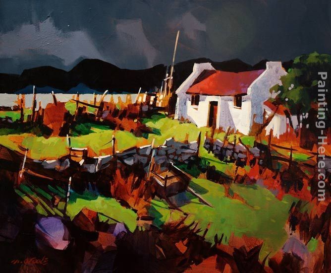 Michael O'Toole Donegal Storm